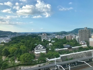 IMG_1077.jpg