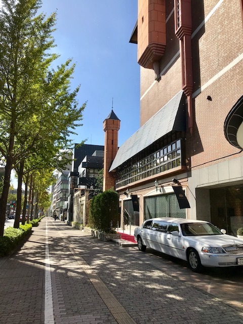 image1.jpeg